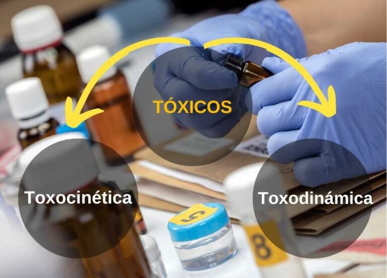 asojupcipc_tachira_toxicos_toxocinetica_toxodinamica